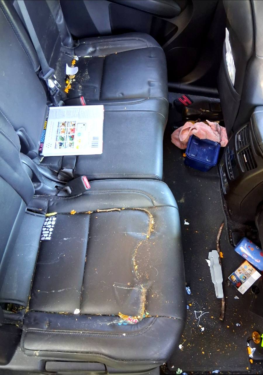 Dirty back seats before detailing